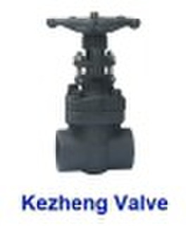 Forged Steel Valve