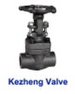 Forged Steel Gate Valve