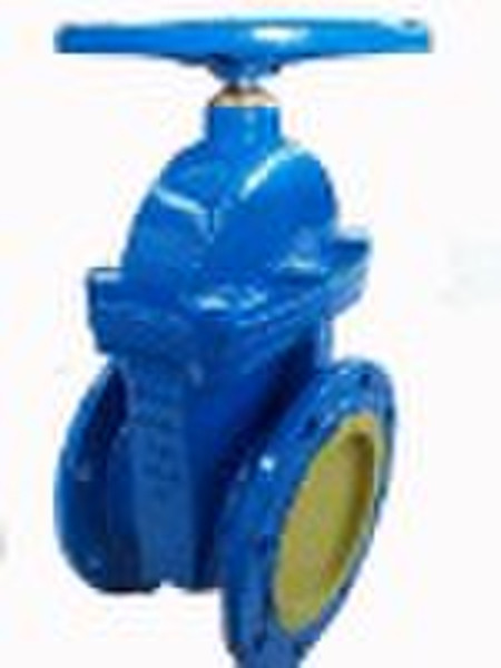 gate valve