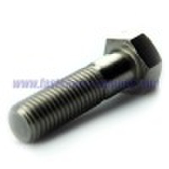 Stainless Steel Bolt