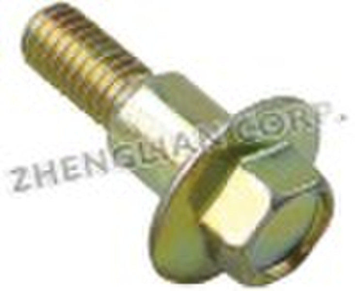 Bolts & Hex bolts & Carriage bolts