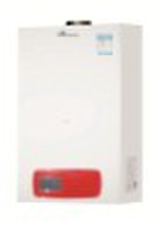 gas water boiler- D series