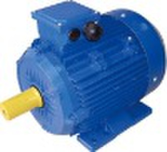 HEFF1 series 3 phase high efficiency motors