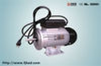 Oil pump motor