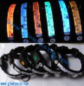 PP Bear Flat Optic Fiber Glow Dog Collar