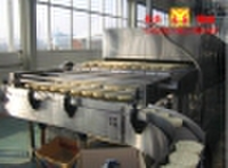 Packaging & Conveyer machine