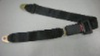 simple 2-point safety belt DAB100-1