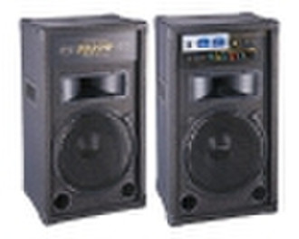 professional speaker(DF-9999W)