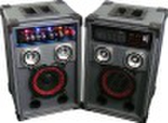 professional speaker