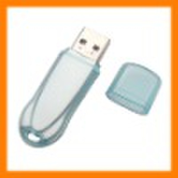 OEM логотип USB флэш-память для подарка / USB диск