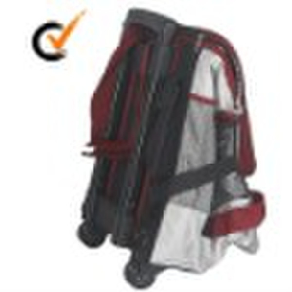 40L Thermoelectric Lunch Cooler Bag