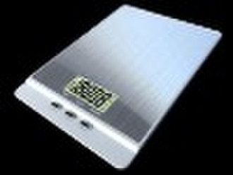 Brushed Stainless Steel Platform Scales