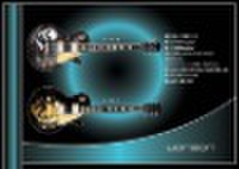 Electric Guitar VNLP-1and 2