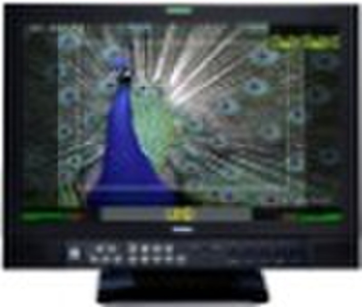 20" broadcast  LCD Monitor