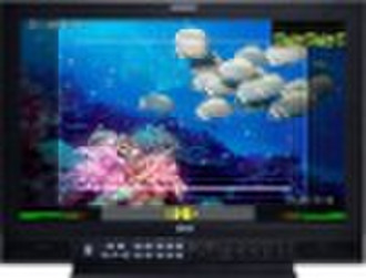 17 "HD-LCD-Monitor