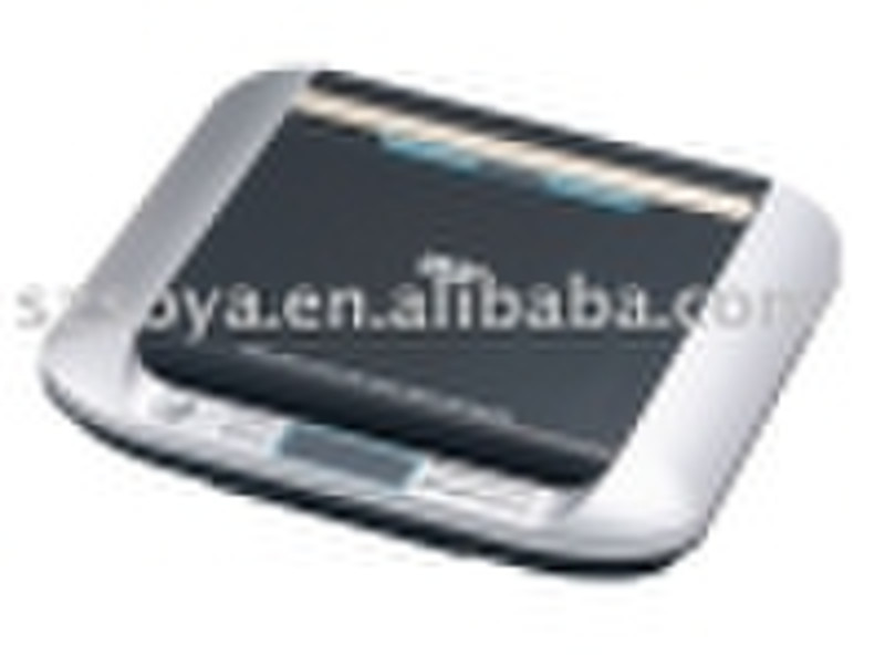 Portable DVD player with FM radio and Speakers