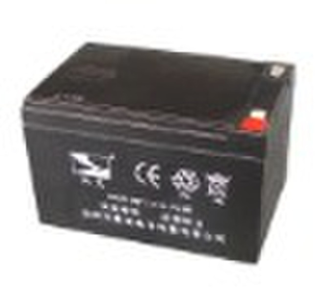 lead acid battery for the electric powered bike
