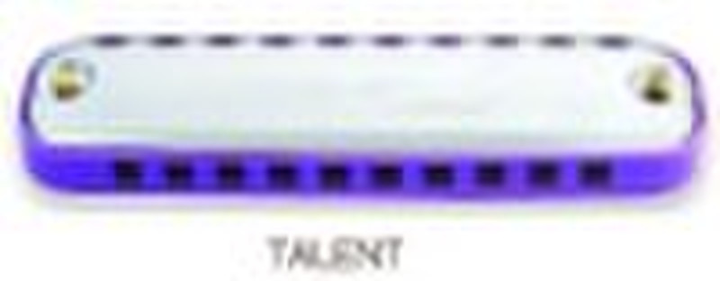 10 Hole Mouth Organ with Round Shell