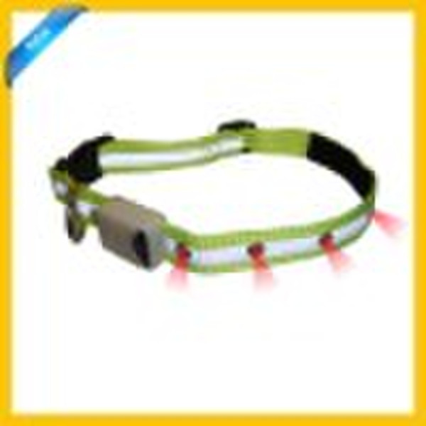 AM-305 Anti-lost Pet collar