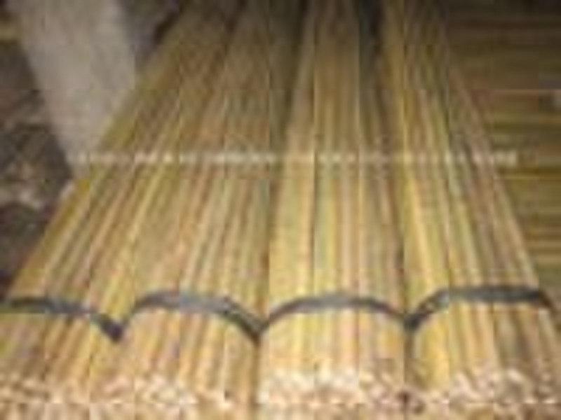 Tonkin bamboo