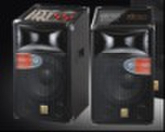 professiona stage speaker