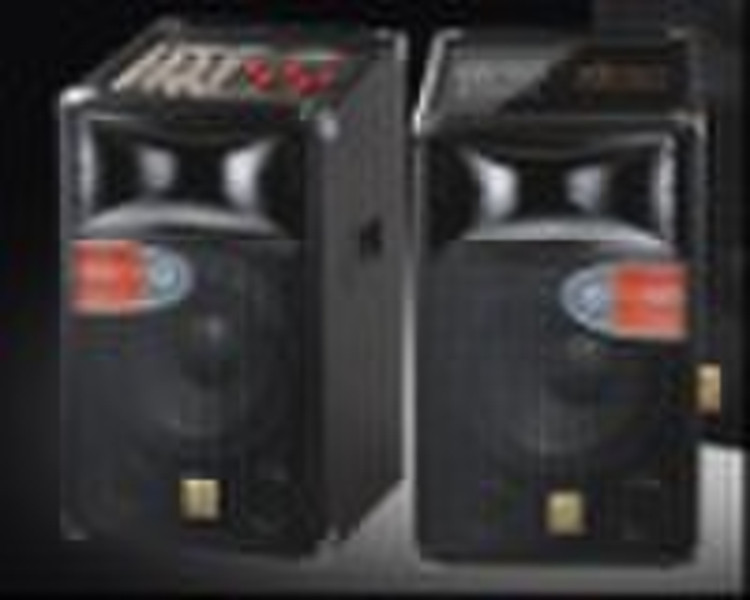 professiona stage speaker