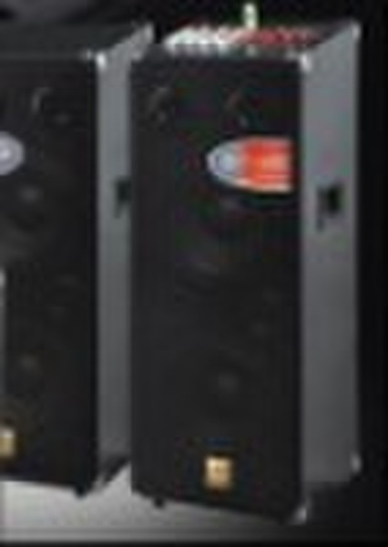 professiona stage speaker