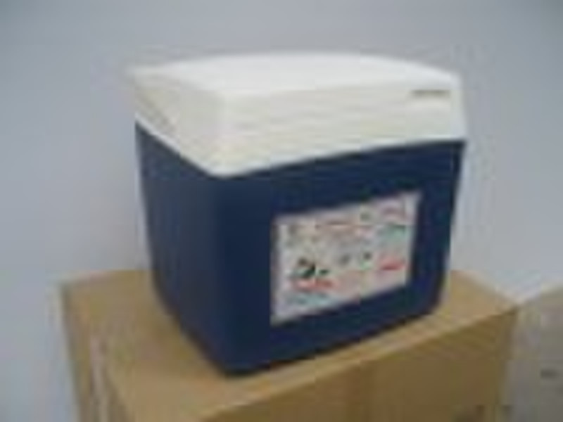 plastic ice box,lunch box,fish cooler box