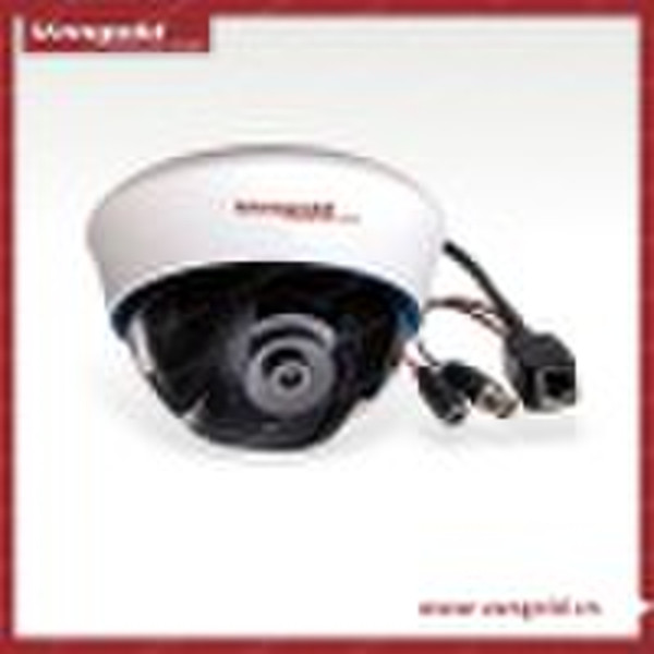 Dome CCD / CMOS-Netzwerkkamera mit 22PCS IR LED VG