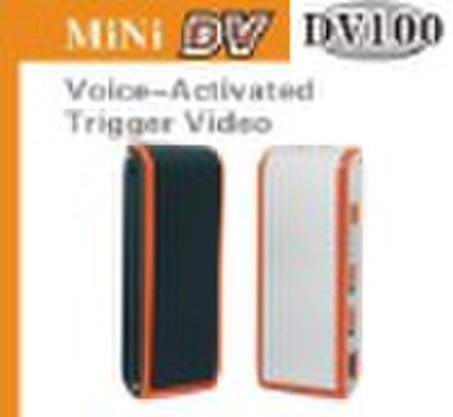 Voice Activated Mini DV Camcorder