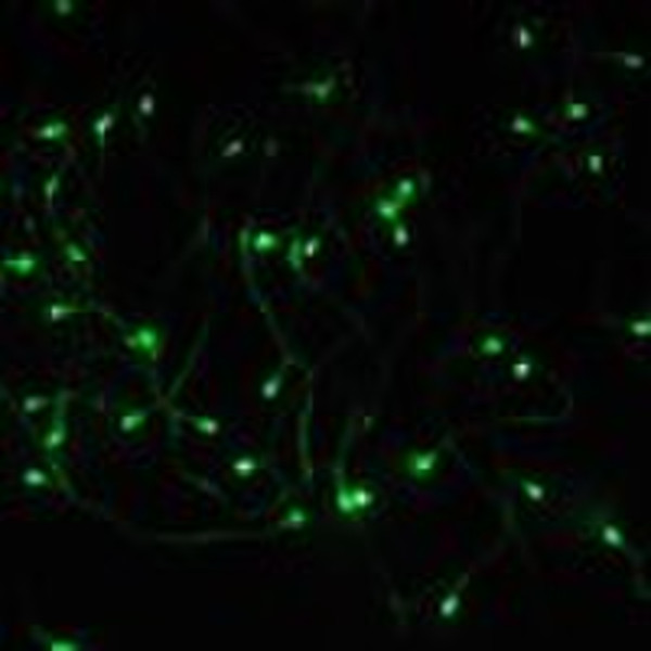 Festival decoration light--10 meters led strobe li