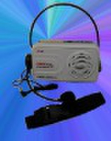 portable amplifier with microphone