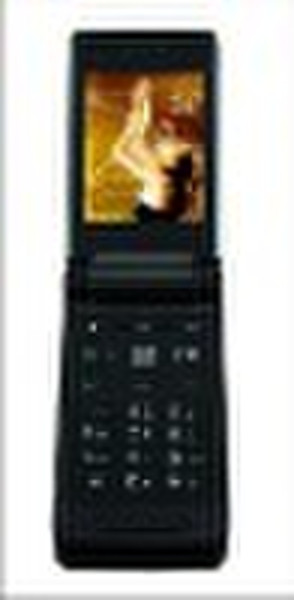 mobile phoe Z6530