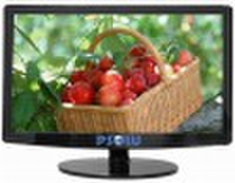 18.4" LED Monitor