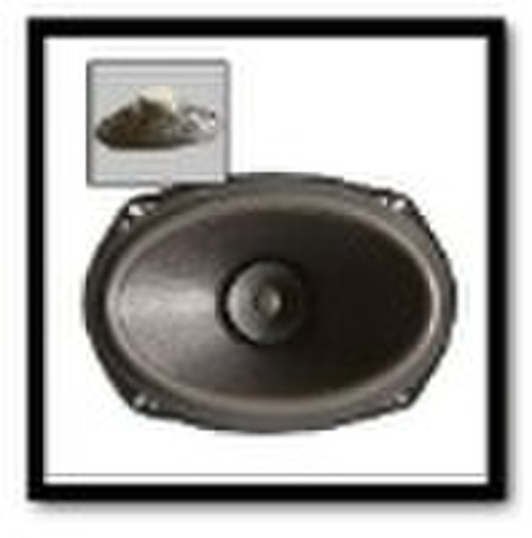 OEM CAR SPEAKER