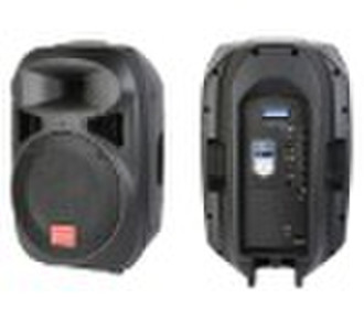 Professional Speaker