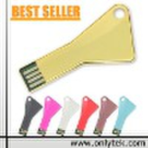 OEM Key USB 2.0 Flash Drive