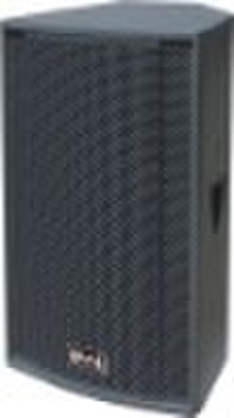 professional speaker