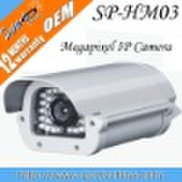 Outdoor-Megapixel IP-Kamera