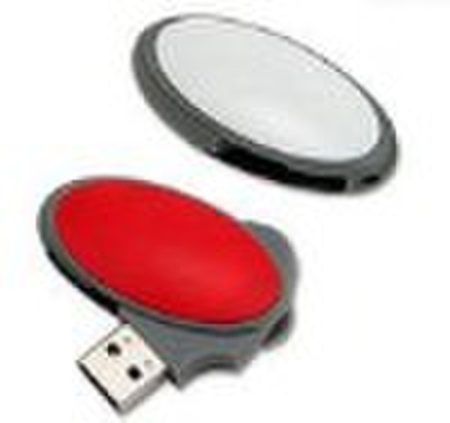 professional usb flash drive