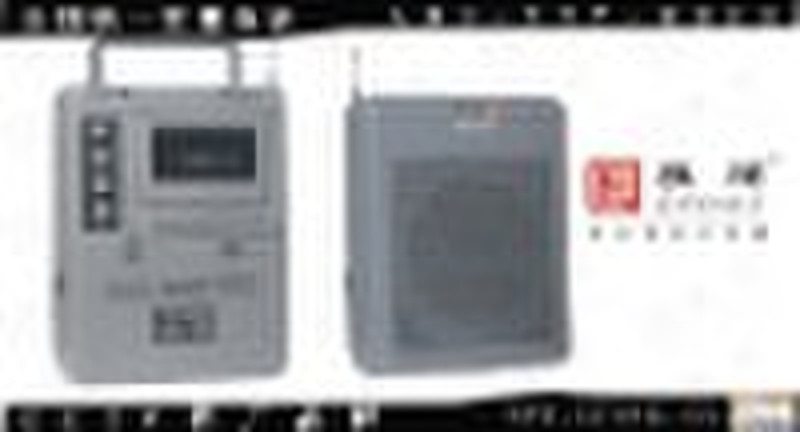 portable wireless amplifier