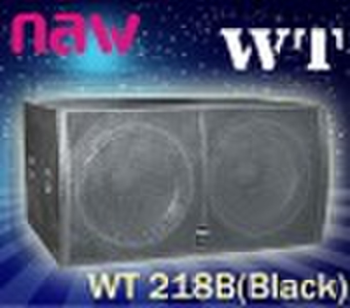 compact powerful subwoofer  WT 218B