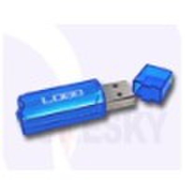 USB flash drive,USB disk(RS-A017)