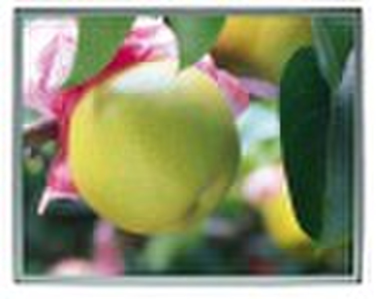 15"OPEN FRAME LCD MONITOR-550TA