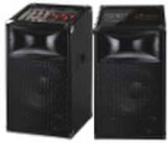 professional speaker