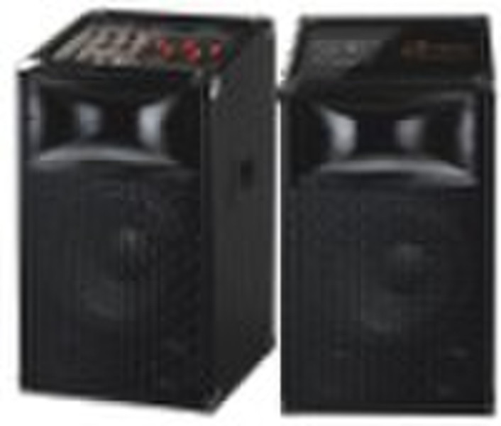 professional speaker