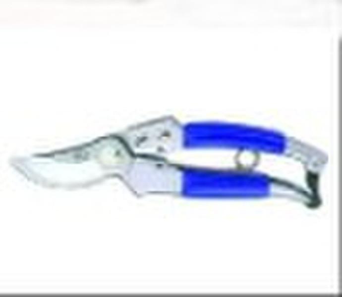 Pruning Shear