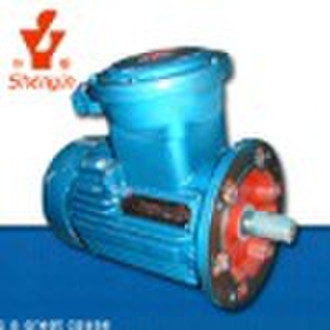 Three Phase Explosion Proof Induction Motor