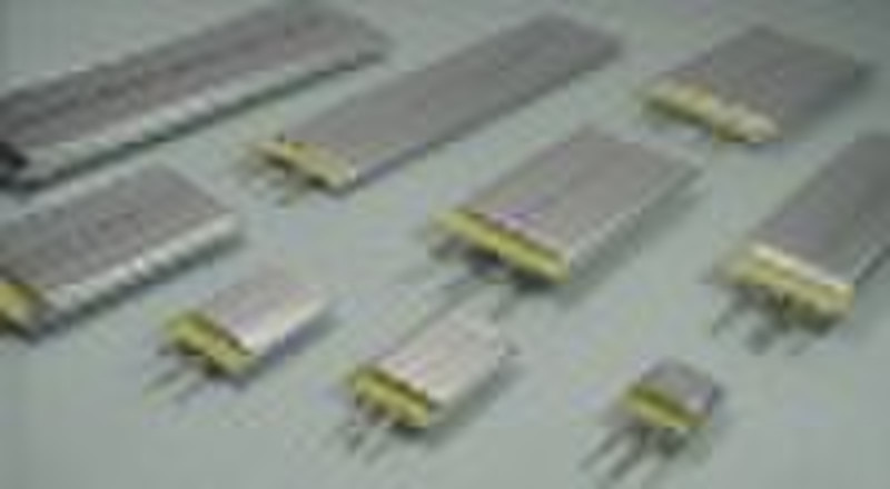 Lithium polymer battery