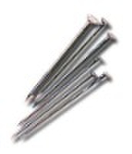 Stainless Common Nail (most competitive price)